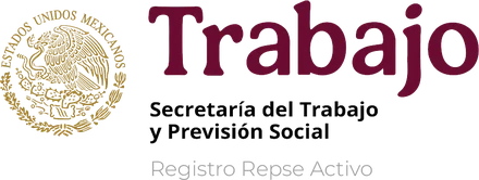 Secretaría del Trabajo y Previsión Social (STPS)